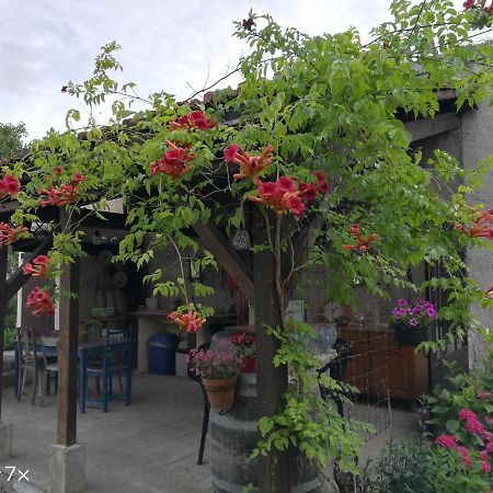 ロミイ・シュル・セーヌ Le Coq En Pate Bed & Breakfast エクステリア 写真